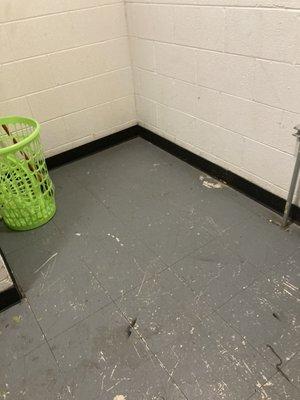 Floor in laundry room