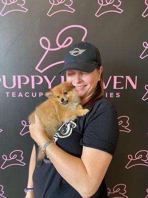 Puppy Heaven is the best puppy store in Nevada