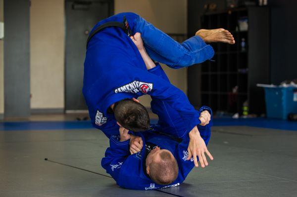 Adult Brazilian Jiu Jitsu 2