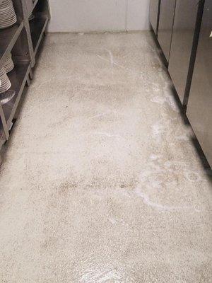 Before & After Commercial Floor Cleaning in Denver, CO