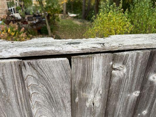 Top of deck wall that has been chewed by animals and coming up. Think squirrels were living in there. Never fixed either.