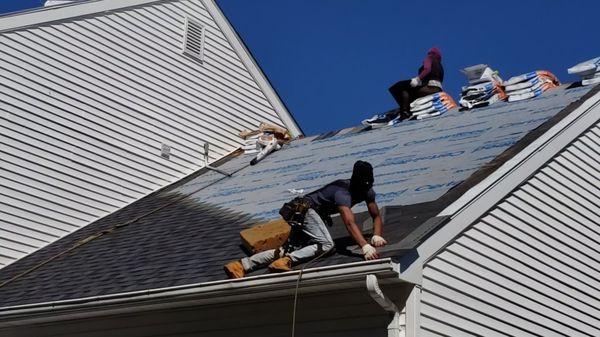 Installing new roof shingles.