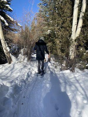 Magic adventure in the snow!