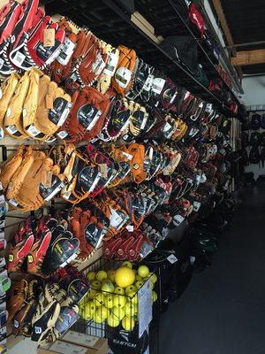 Best and most complete selection of gloves.