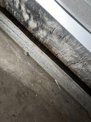 The mold in the HVAC