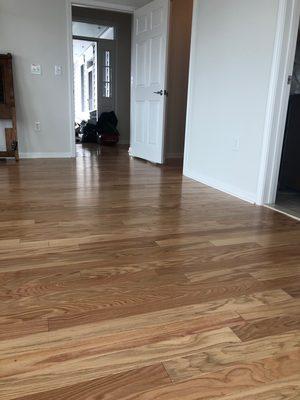 New hardwood floor