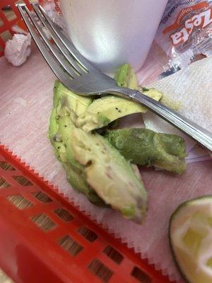 Roots growing in avocado