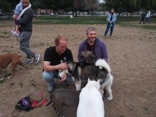 Can't train all the time, fun times at a dog park