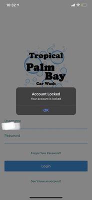 Tropical Palm Bay Car Wash