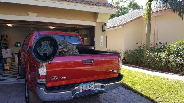 What is better than a girl and her truck?  Her truck with a Christmas tree in the bed  from Hart-t-farms!