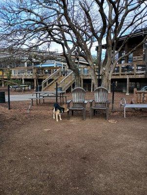 Places to eat and drink right at the dog park