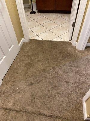 Another photo of the dirty carpet.