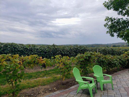 Vineyards at Lake Erie Grape Discovery Center