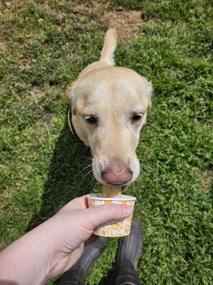 Frosty Paws sundae. Yes please