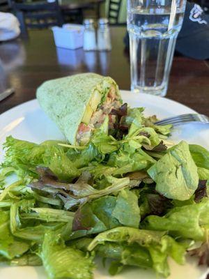 Chicken wrap and salad