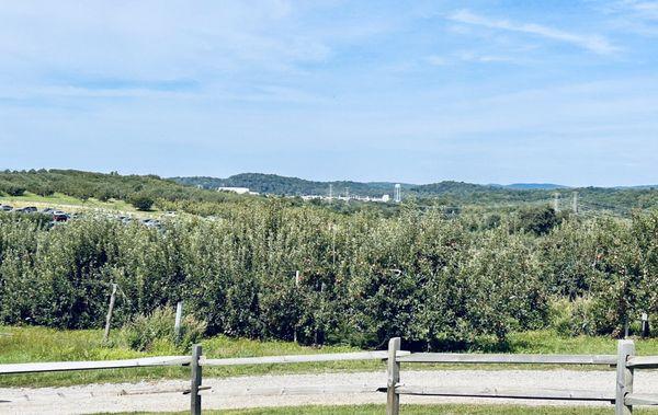 View of some of the orchards