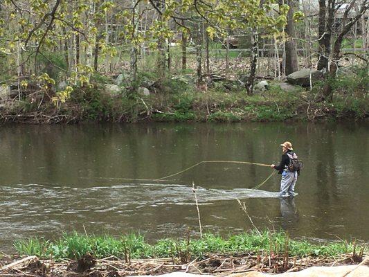 Wild Trout abound in The East Branch of the Delaware River - we have 400 yards of private frontage!