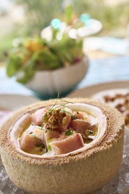 Ceviche (ginger, coconut milk, sesame)