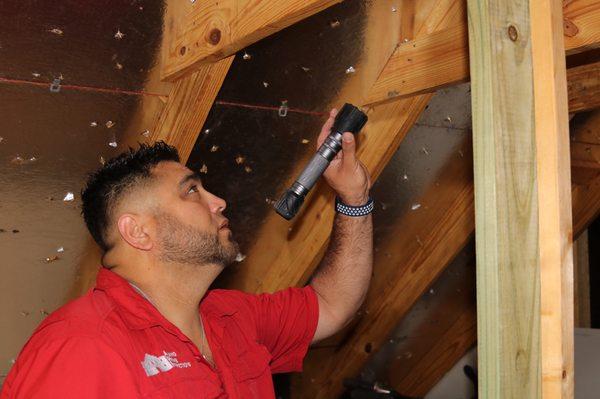 Inspecting attic framing and structure.