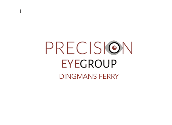 Precision Eye Group - Dingmans Ferry