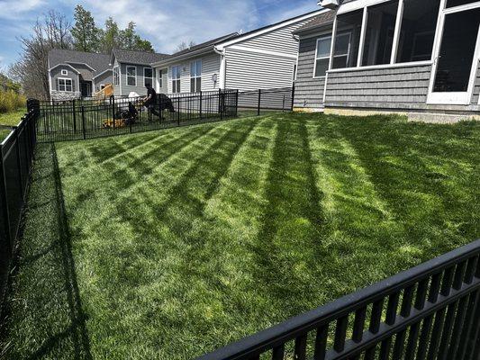 Lawn and Landscape experts on every team to ensure a healthy, manicured lawn