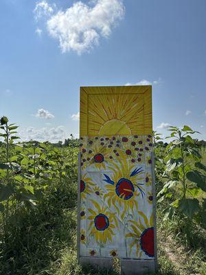 Sunflower field