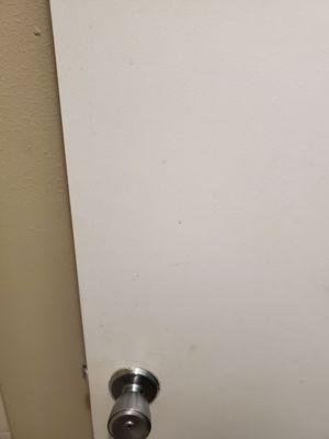 Dirty bathroom door