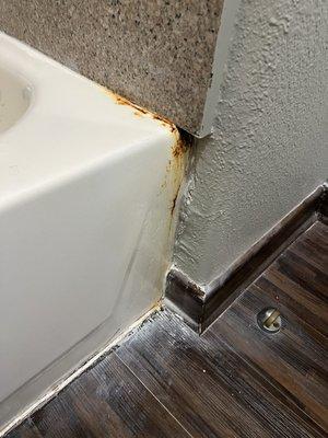 Rust and water damage