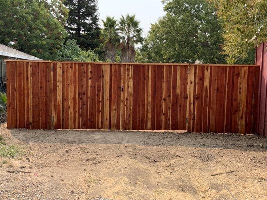 New Fence gate