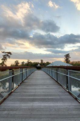 40 Arpent Wetlands Observatory