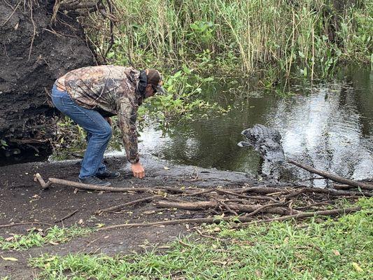 That's Tommy the alligator and Mack