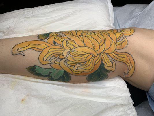 Chrysanthemum in the Japanese style by Alex Paiva