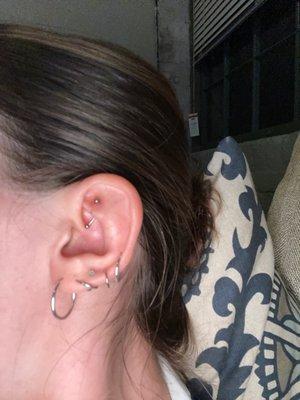 rook piercing