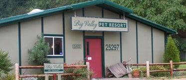 Pet Resort front door