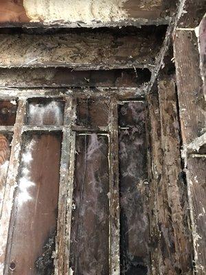 Water damage repairs apartment buildings