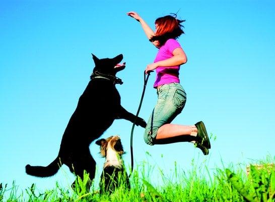 All of our pet sitters are pet owners themselves, so they really get pets!  Plus, they're bonded, insured & background checked.