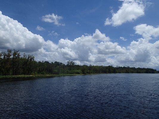 On  the St. John's River