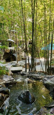 Courtyard of Dr. Turek's Wellness Center