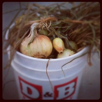 Buckets. Onions. Happy.