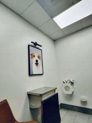 Inside their Sable Exam Room (1 of 5 exam rooms this Veterinary Clinic has).