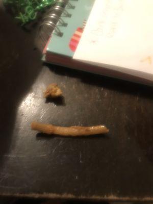 2 bones I found in my taco