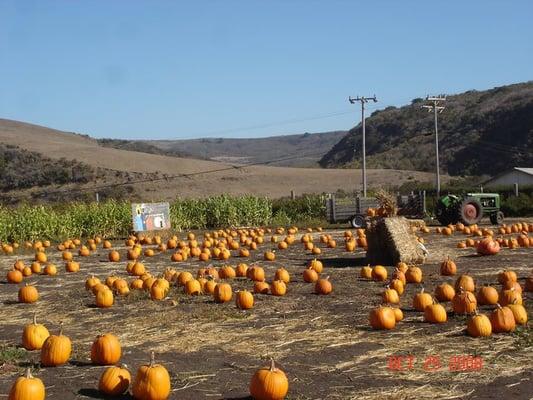 Tunitas Creek Family Farm