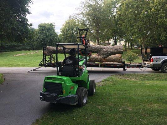 Loading saw logs in Shepherdstown