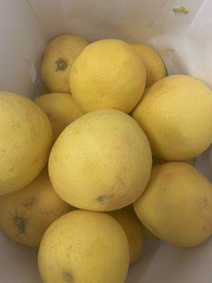 Produce Department and excellent grapefruit for our breakfast'