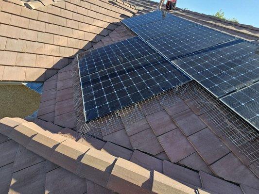 Solar panels are now pigeon proof