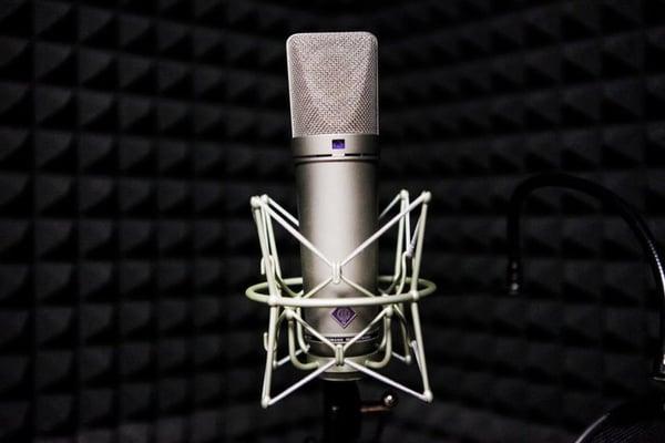 Vocal mic the Neuman U-87. This is industry standard for stellar vocal recordings etc.....