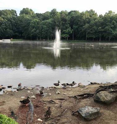 Arboretum Lake (behind Chili's)