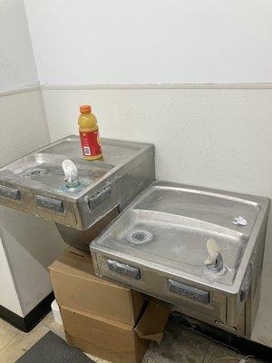 The condition of these water fountains definitely stopped any thoughts of being thirsty.