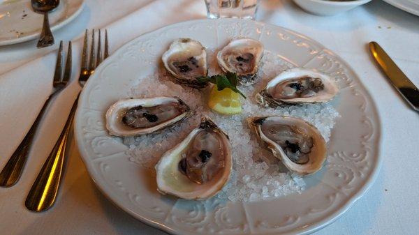 Beausoleil oysters!