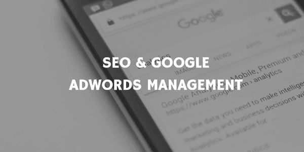 Highly skilled Google AdWords consultant located in Connecticut working with clients across the US. Google Adwords Certified.